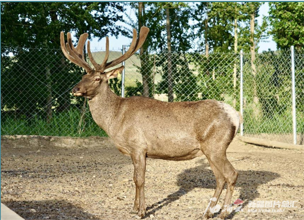 1706160483362241.jpg W020240124767451210885_800.jpg