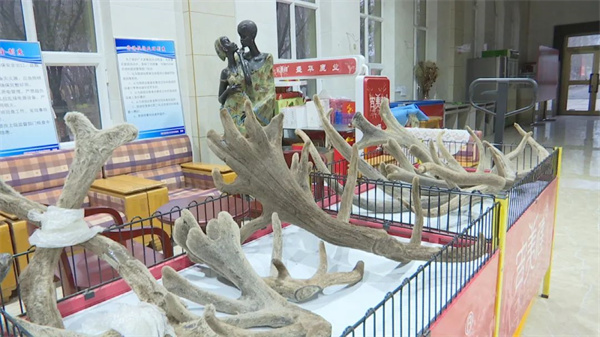 1706591264250660.jpg 640 (1).jpg