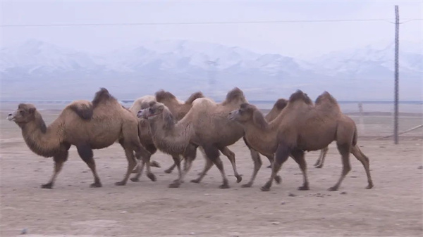 1706591335766008.jpg 640 (3).jpg