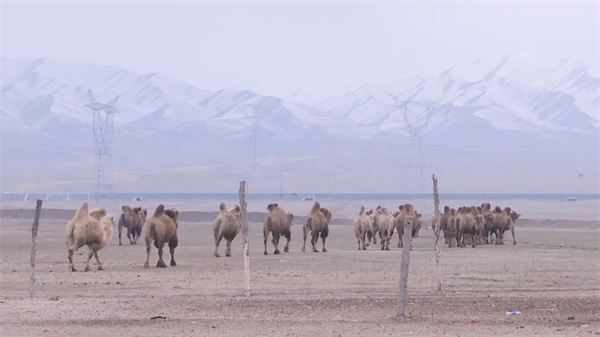 1706591390852201.jpg 640 (6).jpg