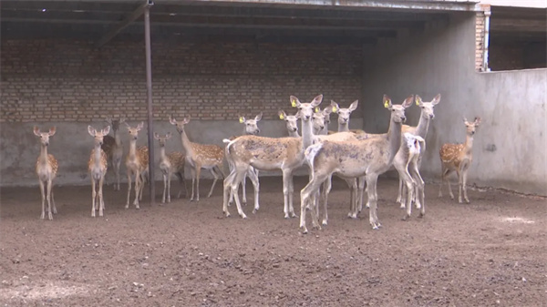 1722223674700170.jpg 33.jpg