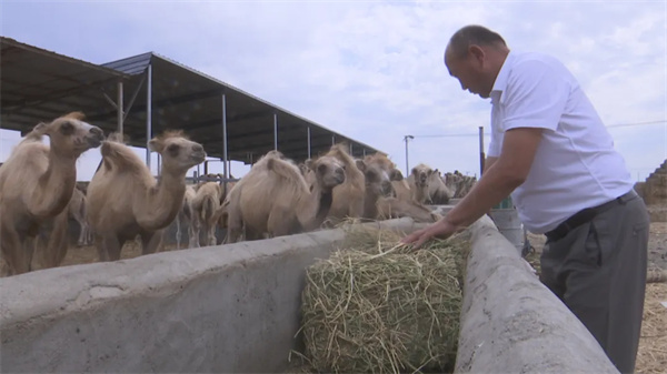 1722223733120364.jpg 66.jpg