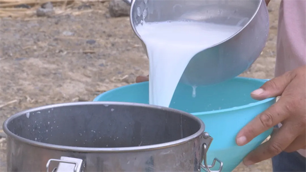 1722223763112480.jpg 88.jpg