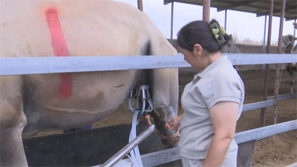 1722223786114055.jpg 99.jpg