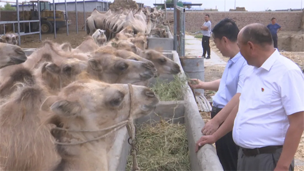 1722223799625768.jpg 100.jpg