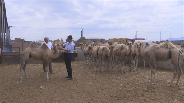 1722223824773195.jpg 110.jpg