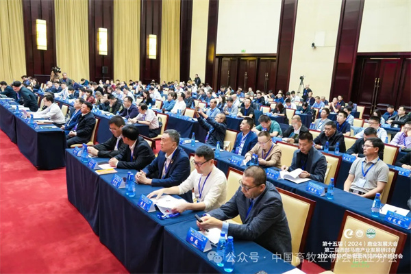 1727577429792387.jpg 11.jpg