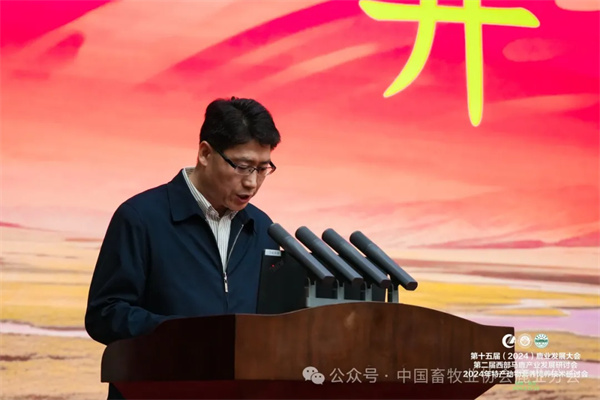 1727577496564189.jpg 77.jpg